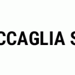 CECCAGLIA SRL