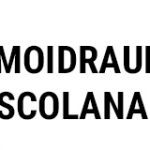 TERMOIDRAULICA TUSCOLANA srl